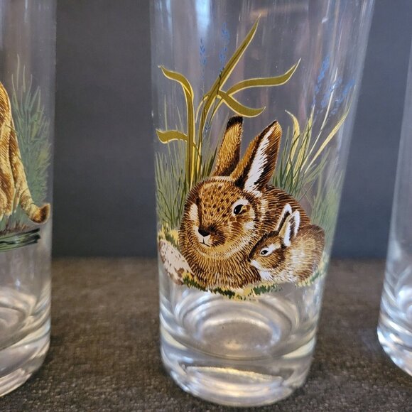 West Virgina Glass West Virginia Wildlife Woodland Animals 11oz Glass Set Of 5 - Picture 4 of 9